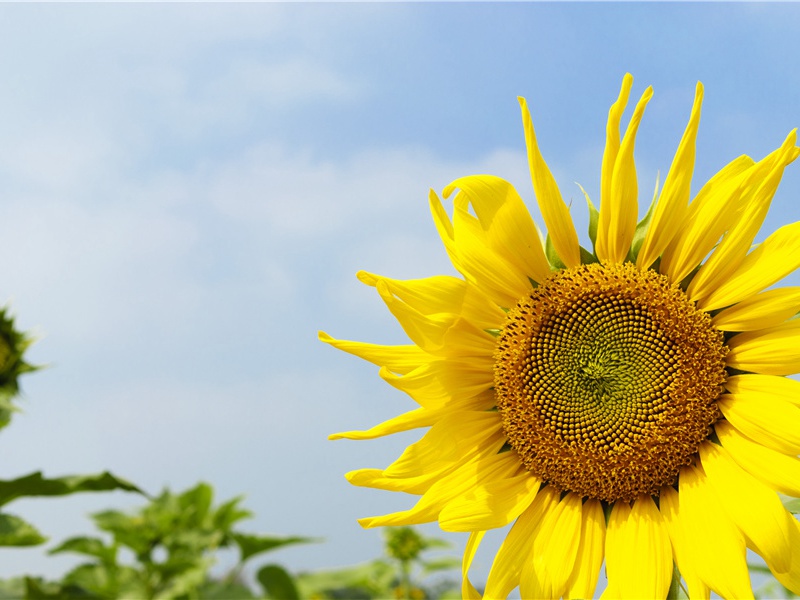 哭的学问-人体自然探秘