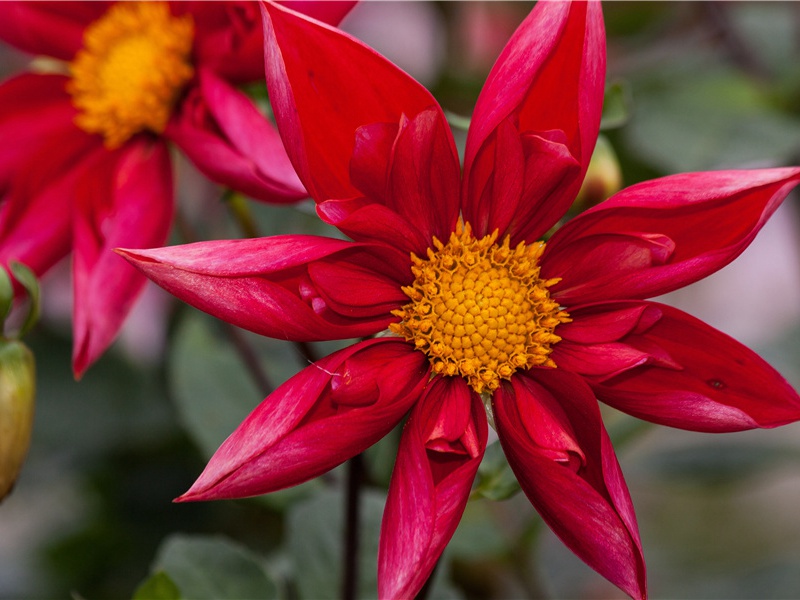 云南野人的踪迹-各地野人的踪迹-有关野人探秘