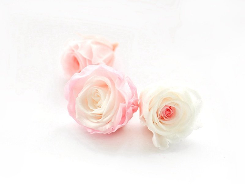 澳州野人的踪迹-各地野人的踪迹-有关野人探秘