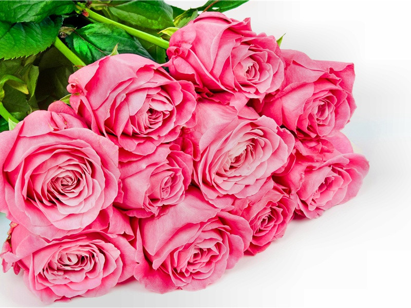 捕捉野人-看见野人的人-有关野人探秘