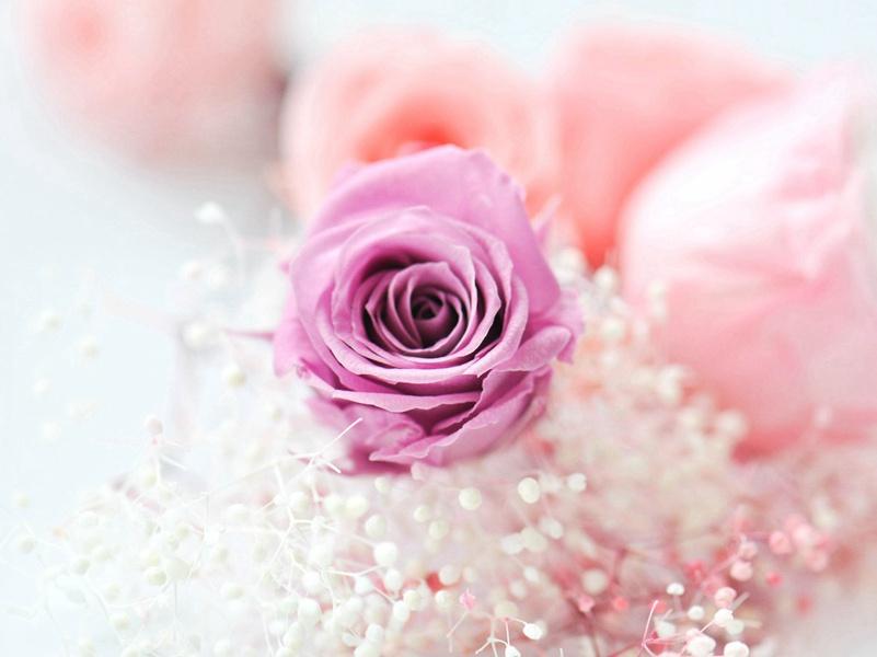 “雪人”住在何方？-远古“雪人”探秘