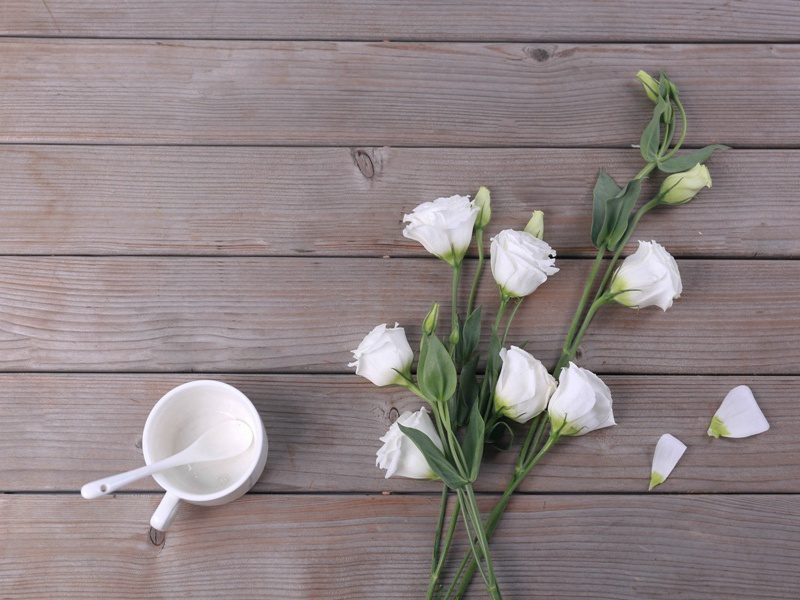 “雪人”传奇-远古“雪人”探秘