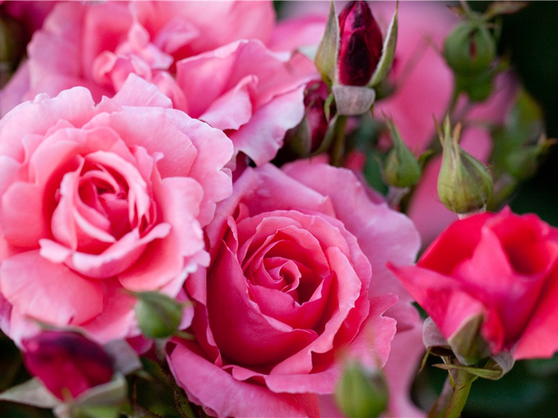 活埋两年复活的人-人类怪事探秘