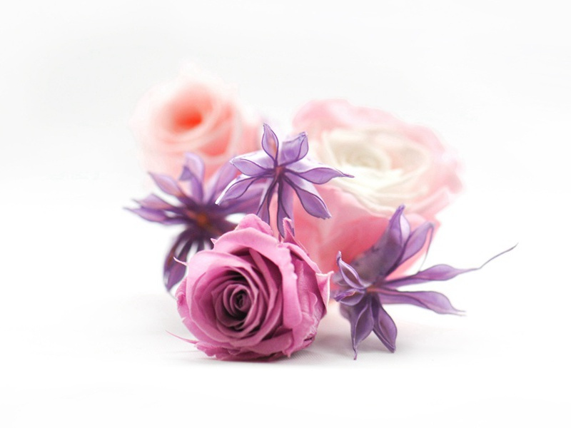 白痴天才-人类怪事探秘