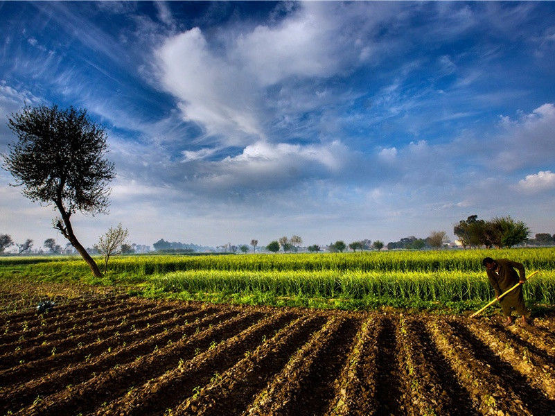 超越电脑的心算专家-人类怪事探秘