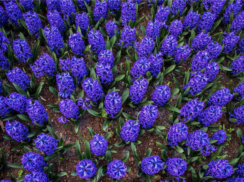 另一维之门-潘朵拉的盒子