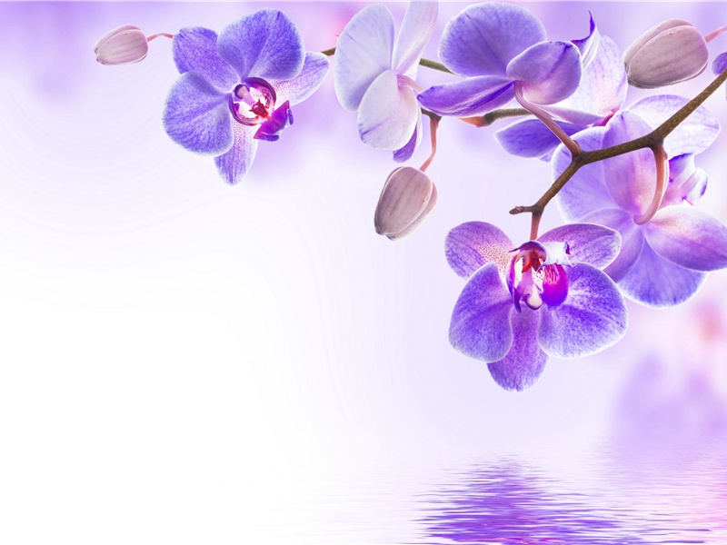 巨人的神殿-回到过去