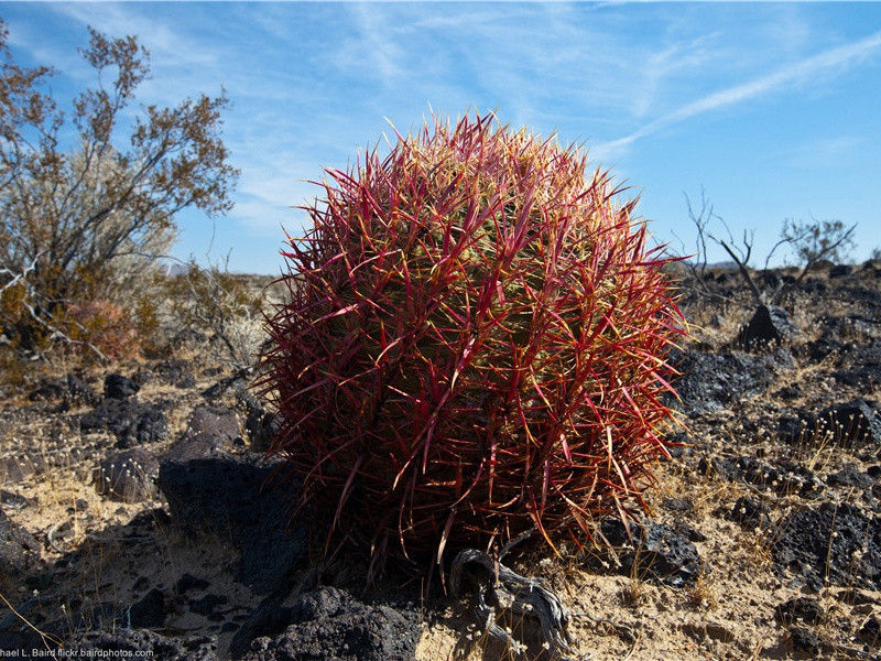 里面空无一物-金字塔坟墓说