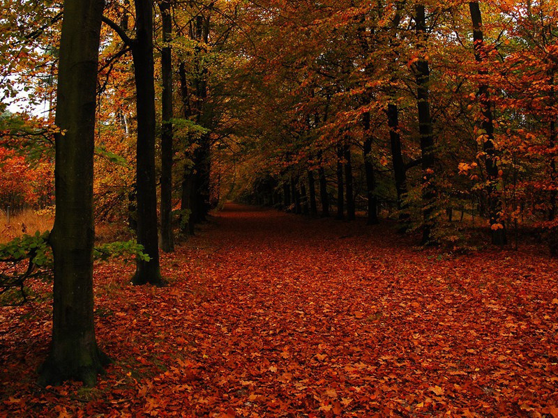 前堂探秘-三维游戏