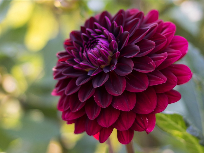 玩弄巨石的大匠-三维游戏