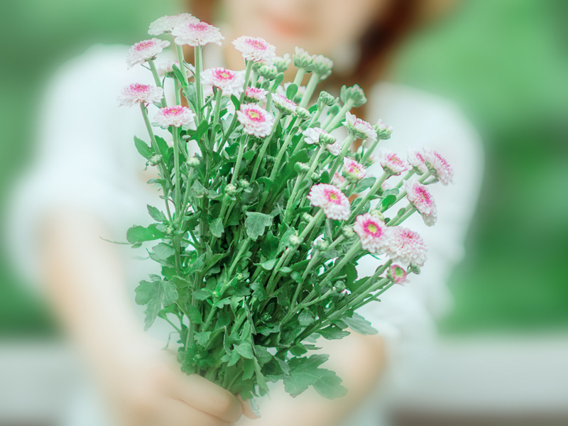 大金字塔探秘永恒与未知的建筑奇迹-造物之神