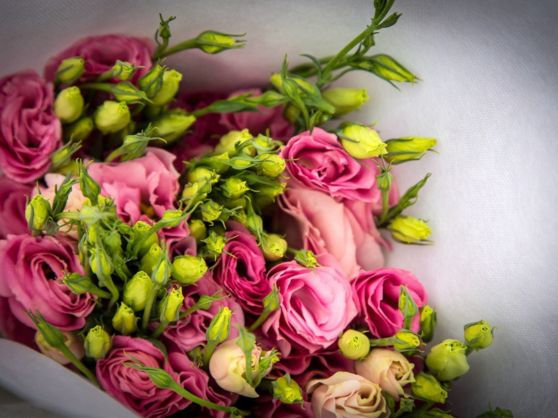 不灭的明灯-造物之神