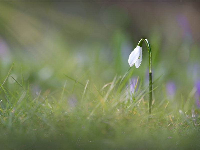 探秘海里欧波里斯创世神话与本本之谜-胡狼的房间