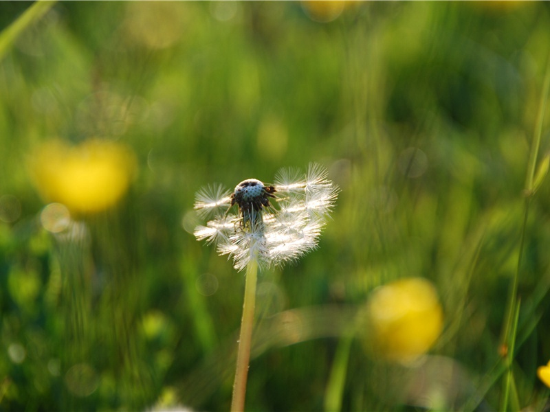失落的科学宝库-迷惑的历史年代