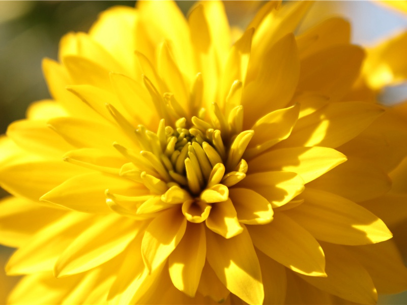 传递神秘的讯息-窃走人类文明的夜贼