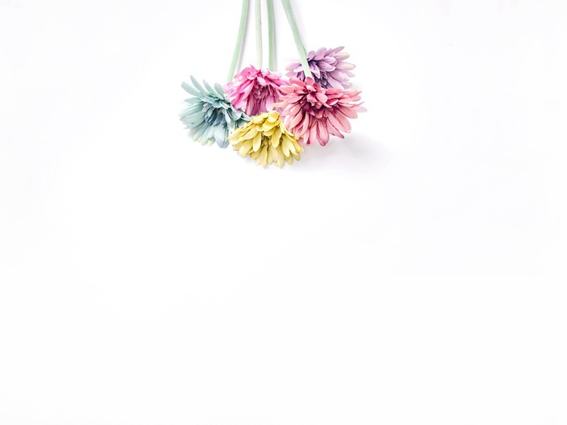 图书馆的天使-皇天不负苦心人