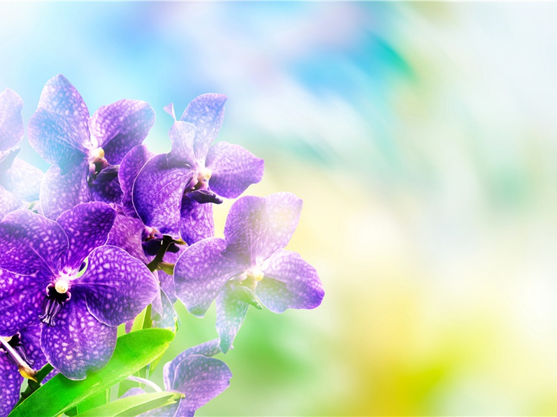 惊人的引力-皇天不负苦心人