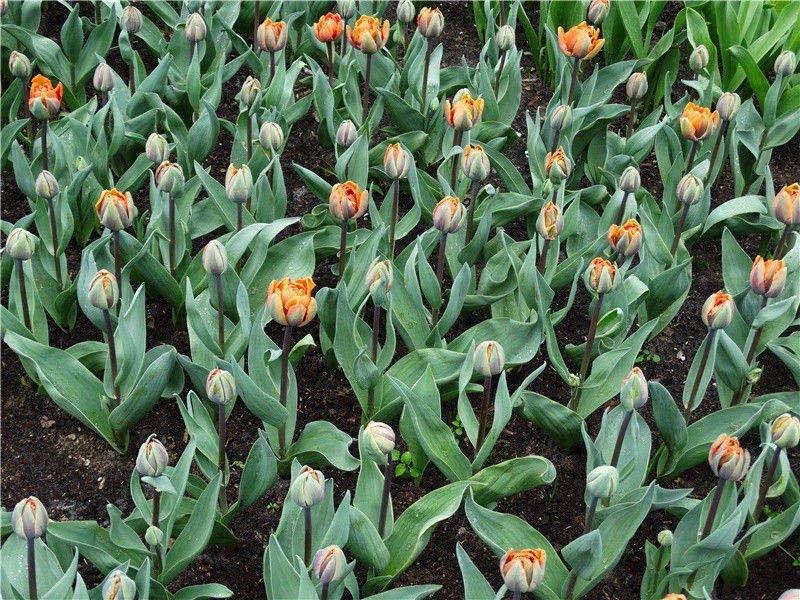 与“开天辟地”不谋而合-力之泉源