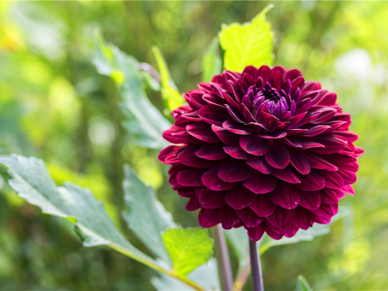 巨型舞台-力之泉源