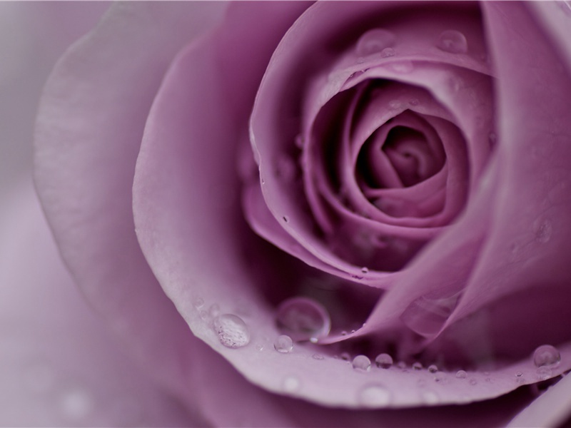 非常老的宗派-力之泉源