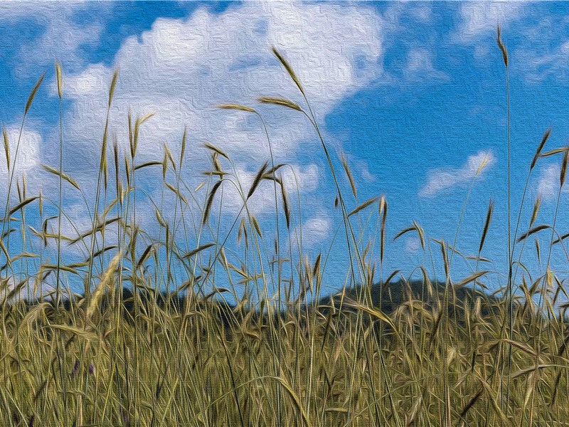 二王共治-阿提拉的传奇——匈奴人人侵欧洲横扫欧洲