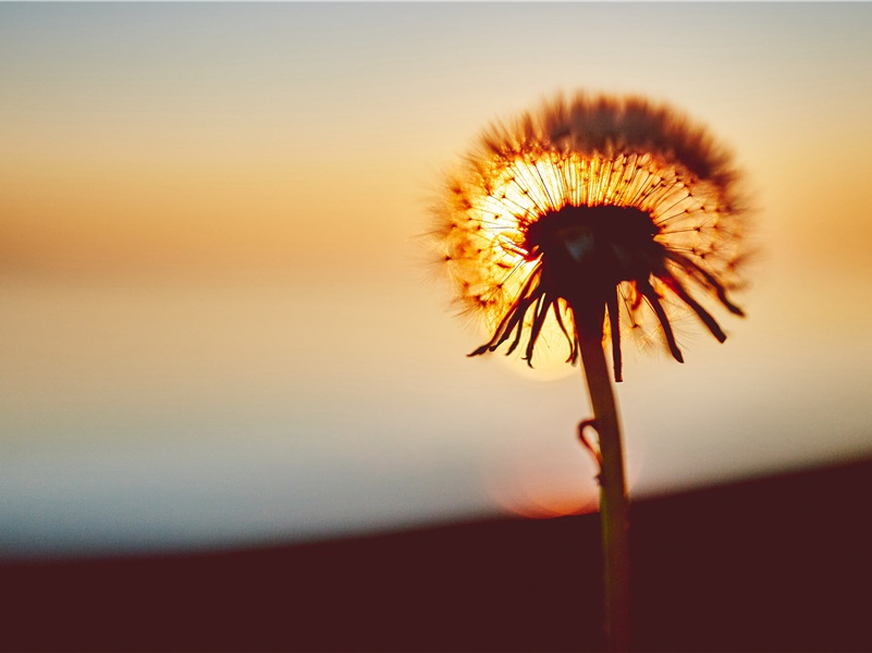 蒙古高原上的墓-阿提拉的传奇——匈奴人人侵欧洲横扫欧洲