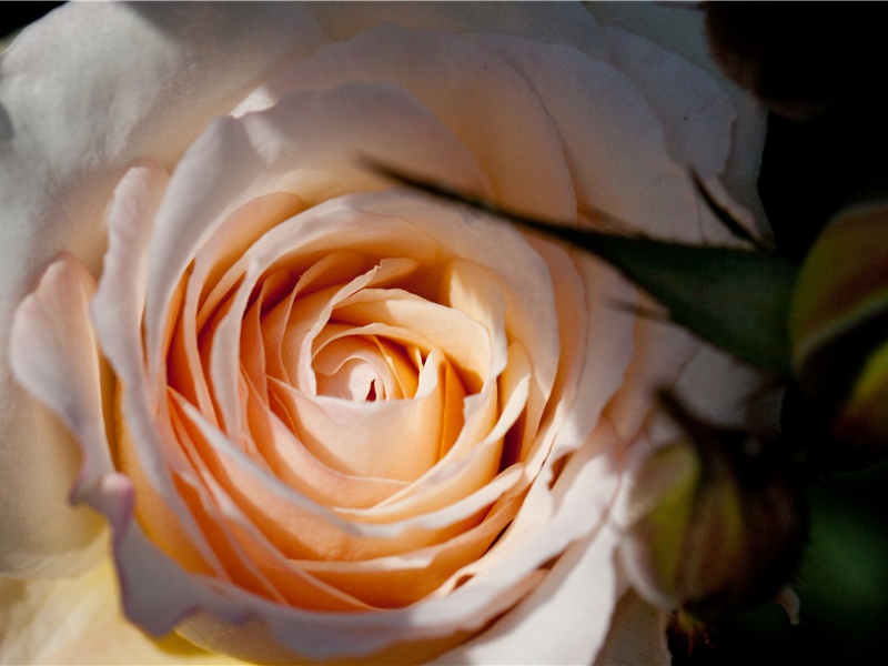 消失的科技文明-古地图及宝藏专古传奇