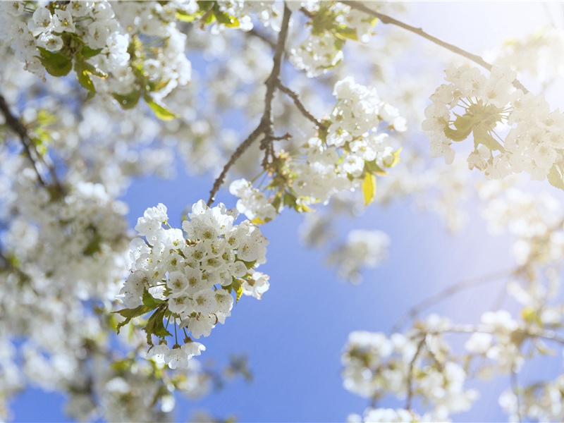 来海底的考古发现-北欧的英雄——维京人的传奇故事