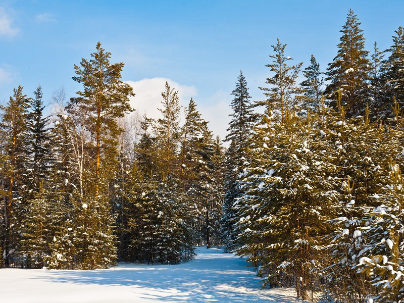帝王谷-世界文明奇迹