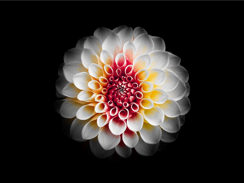 漫话木乃伊-世界文明奇迹