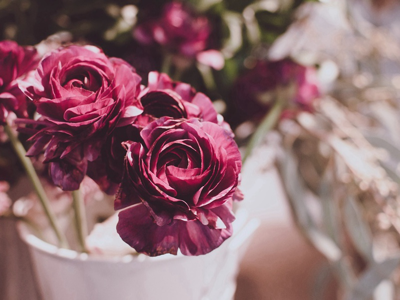 漫话开罗-世界文明奇迹