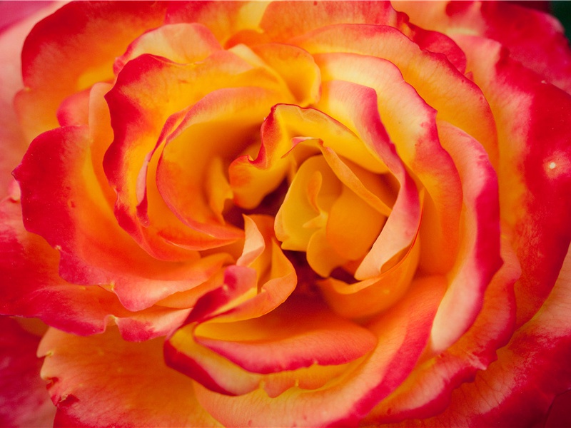 阿杰尔高原壁画-世界文明奇迹