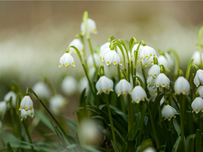 滴水穿石地球演化的关键力量与地貌塑造者-“五”湖“四”海
