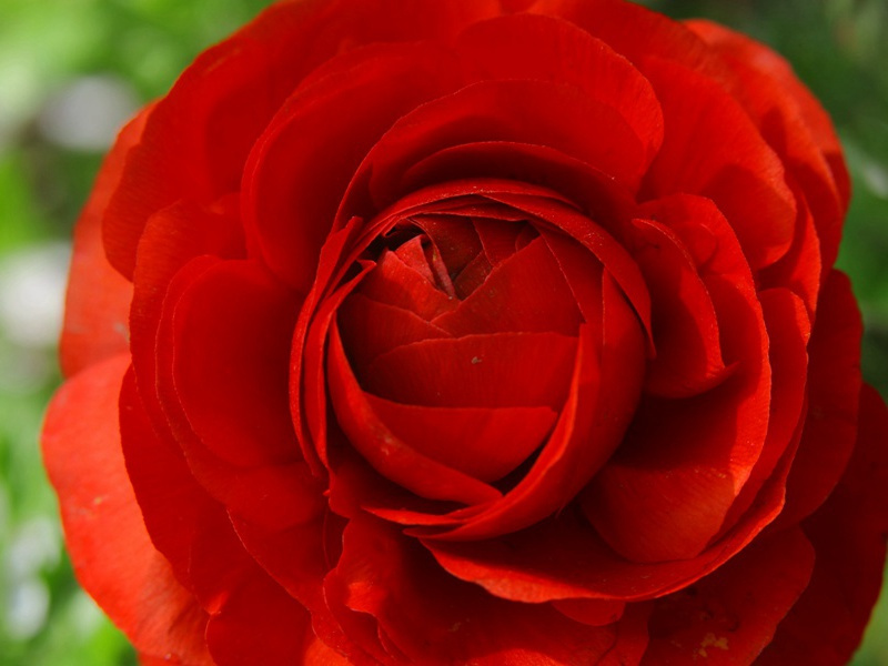 大地明珠-“五”湖“四”海