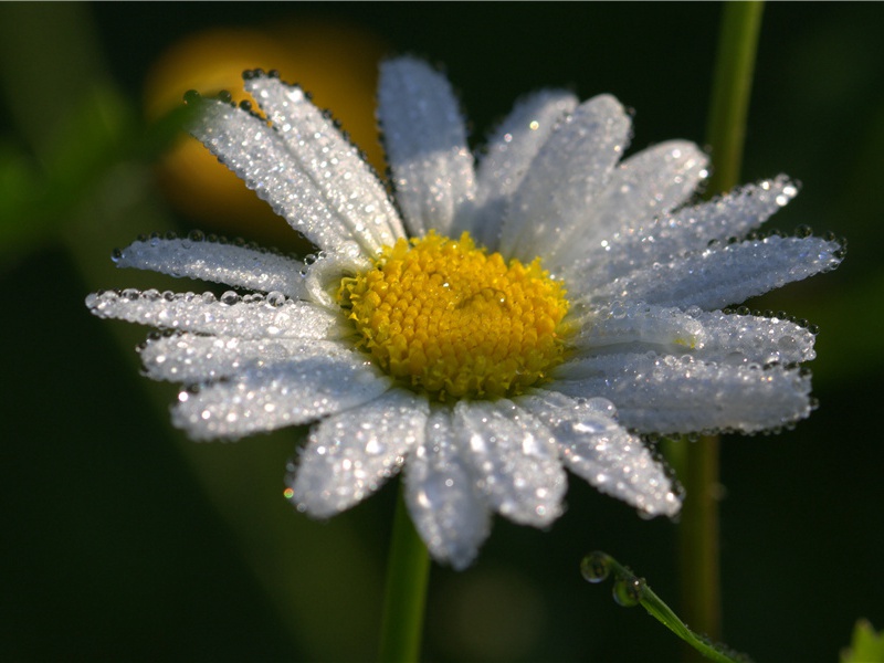 岛-形形色色的岛与泉