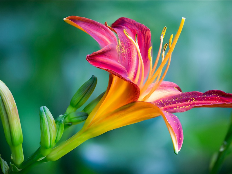 挂起一面黑色的海盗旗-海洋的历史悬案