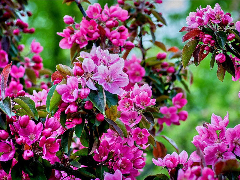 海盗藏宝在秘密的山洞里-海洋的历史悬案