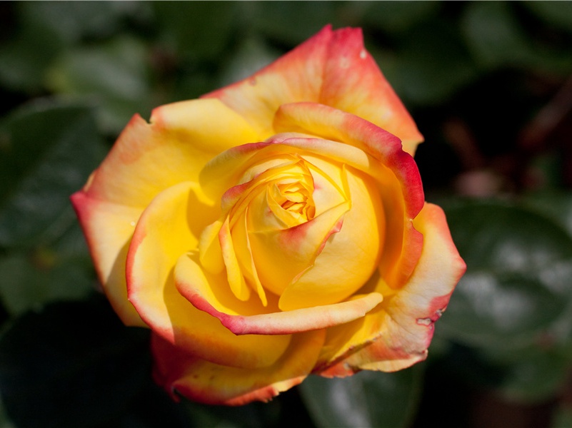 艰难曲折的寻宝-海洋的历史悬案