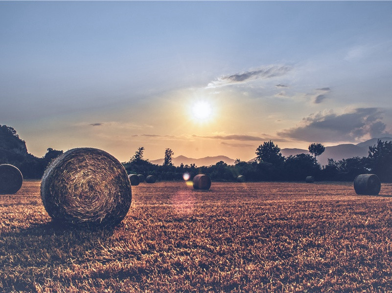 “失踪”的大西洲之谜-“超级生命”之谜