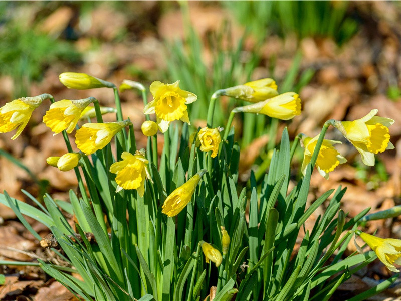 慈禧的满棺珍宝-亚洲宝藏的传说-古地图及宝藏专古传奇