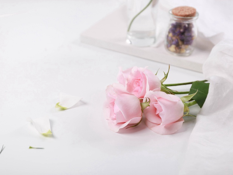 鲸鱼自杀的真相-“超级生命”之谜