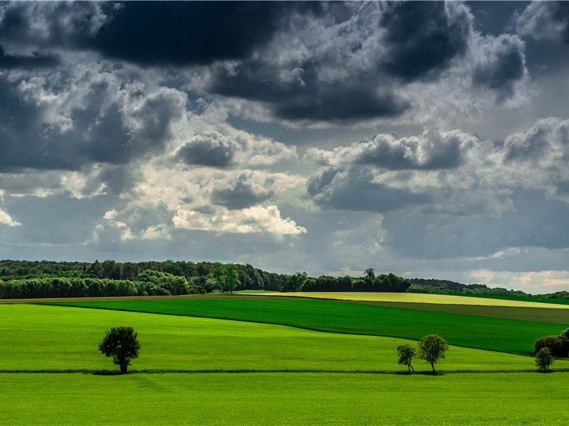 北京猿人化石今何在？-亚洲宝藏的传说-古地图及宝藏专古传奇