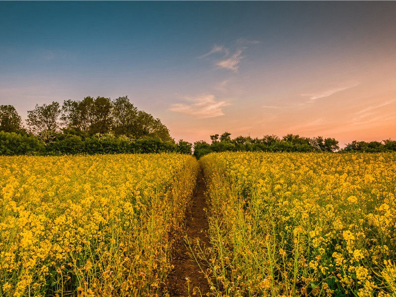水底人的分类-“超级生命”之谜