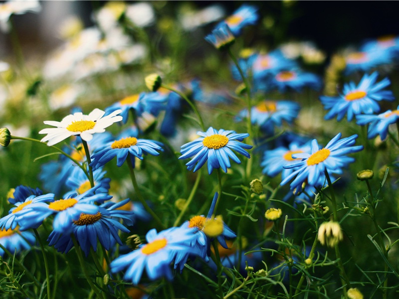 奇怪的降水-“超级生命”之谜