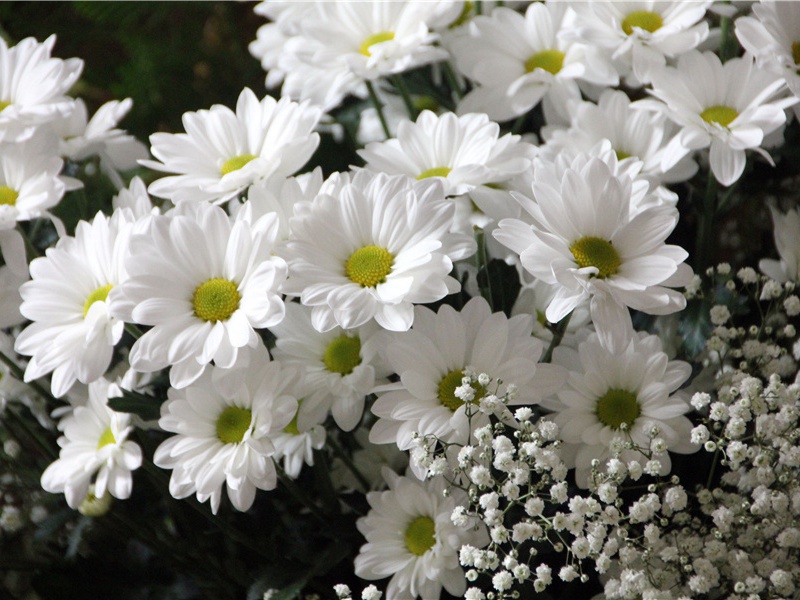 隧道里的神秘宝藏-古地图及宝藏专古传奇