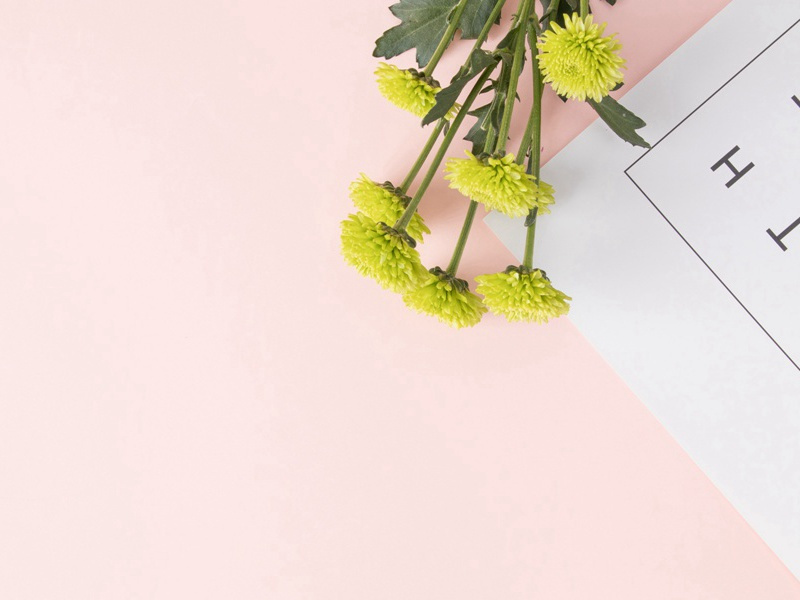 海上侦察兵-情感世界