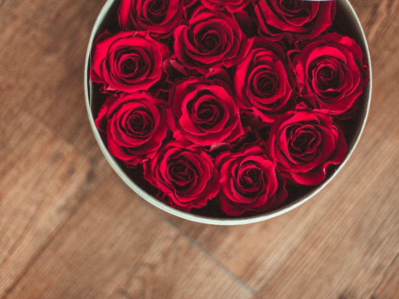 噬人鲨竟有一万五千多颗牙齿-神奇的世界