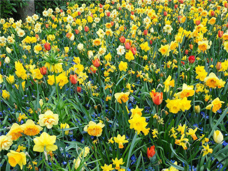贝加尔湖水族世界的国际大家庭-神奇的世界