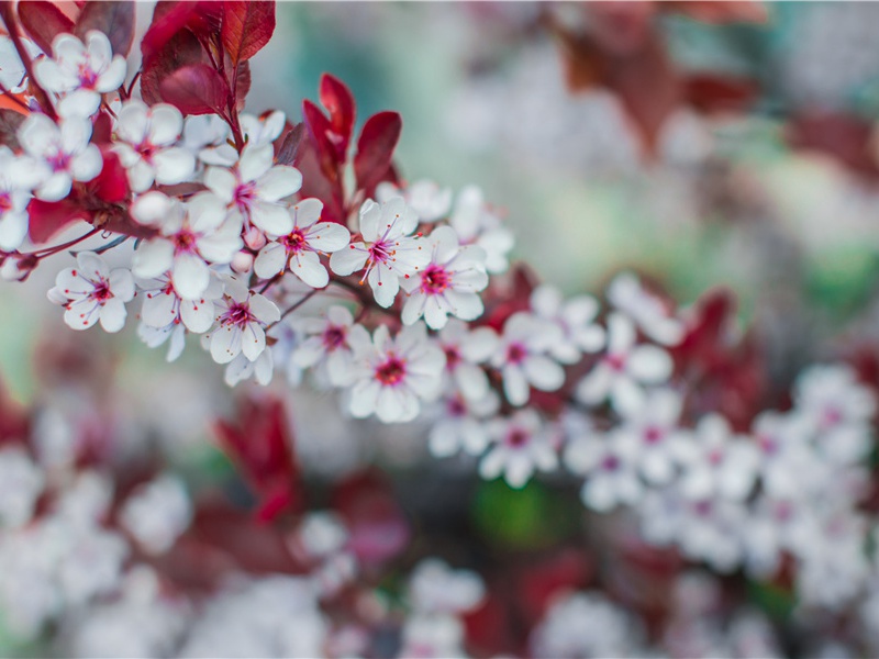 海水也有进化史-神奇的世界