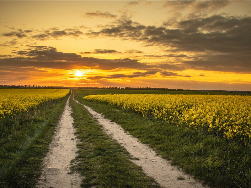 得到了军方的支持-组成探险队